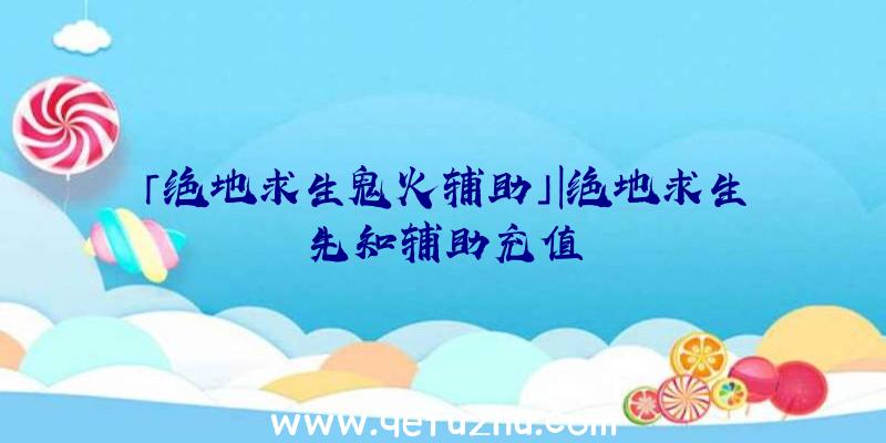 「绝地求生鬼火辅助」|绝地求生先知辅助充值